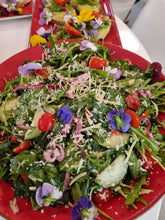 Load image into Gallery viewer, IWS 12th Anniversary - Cheryl Curnick FREE "Spice Your Art" Demonstration