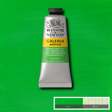 Load image into Gallery viewer, Winsor &amp; Newton Galeria Acrylic Tubes : 60ml, 120ml