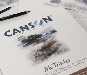 Canson Mi -Teintes Pastel Paper