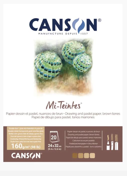 Canson Mi -Teintes Pastel Paper
