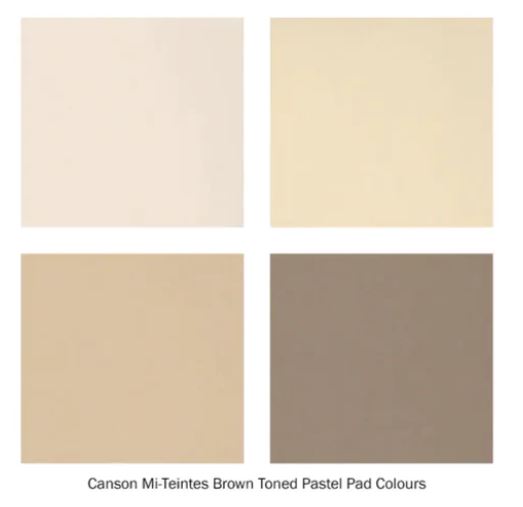 Canson Mi -Teintes Pastel Paper