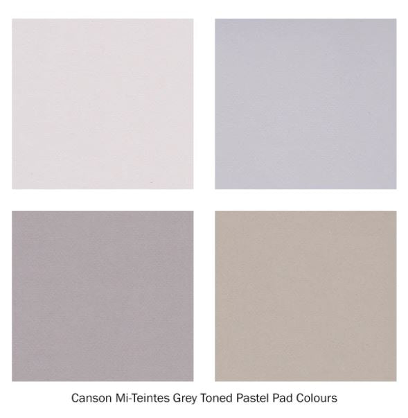 Canson Mi -Teintes Pastel Paper