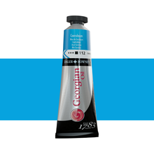 Load image into Gallery viewer, Daler-Rowney Georgian Oil 38ml