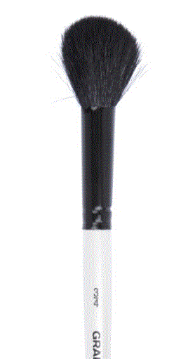 Daler-Rowney Graduate Brushes