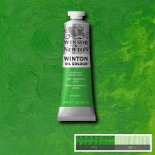 Load image into Gallery viewer, Winsor &amp; Newton Winton Oil Colour 37ml Tubes