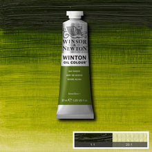 Load image into Gallery viewer, Winsor &amp; Newton Winton Oil Colour 200ml Tubes