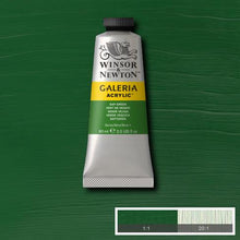 Load image into Gallery viewer, Winsor &amp; Newton Galeria Acrylic Tubes : 60ml, 120ml
