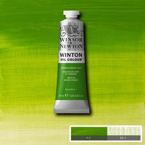 Winsor & Newton Winton Oil Colour 37ml Tubes