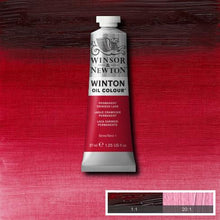 Load image into Gallery viewer, Winsor &amp; Newton Winton Oil Colour 200ml Tubes