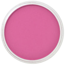 Load image into Gallery viewer, PanPastel Colours Soft Artists&#39; Painting Pastels